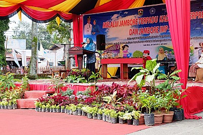Jambore Terpadu Kader PKK Berprestasi 2018 - foto 9